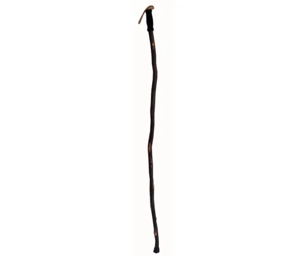 Hiker Cane